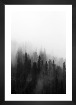 Tavelvägg med ram i svart i storlek 21x30 med poster med "Dimmiga trätoppar"