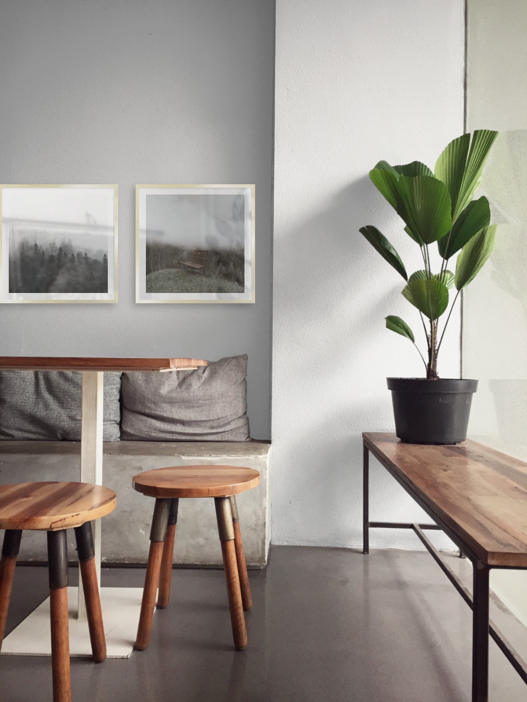 Tavelvägg med ramar i guld i storlekar 50x50 med posters med "Dimmiga trätoppar" och "Bänk i dimmig natur"
